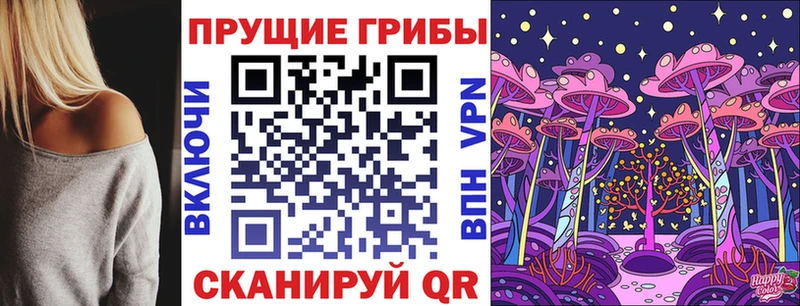 Псилоцибиновые грибы Cubensis  Трубчевск 