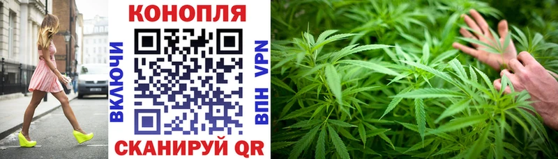 mega ТОР  Трубчевск  Каннабис гибрид 